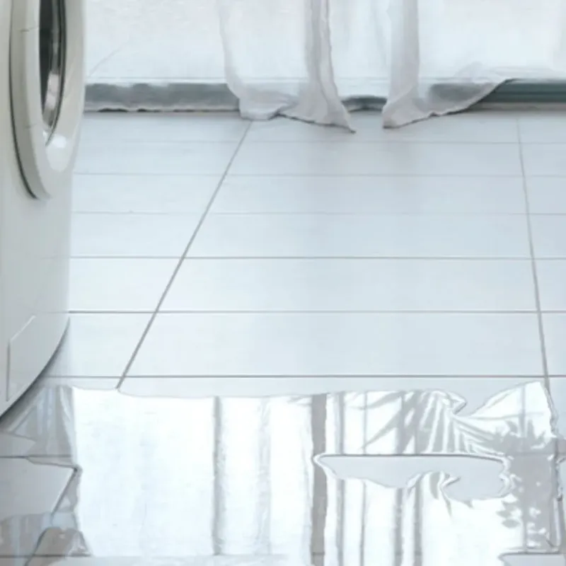 Appliance Leak Cleanup in Sylacauga, AL